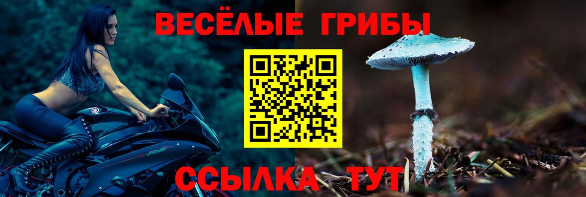 Псилоцибиновые грибы GOLDEN TEACHER  Псилоцибиновые грибы MAGIC MUSHROOMS  Вход с VPN  Елабуга 